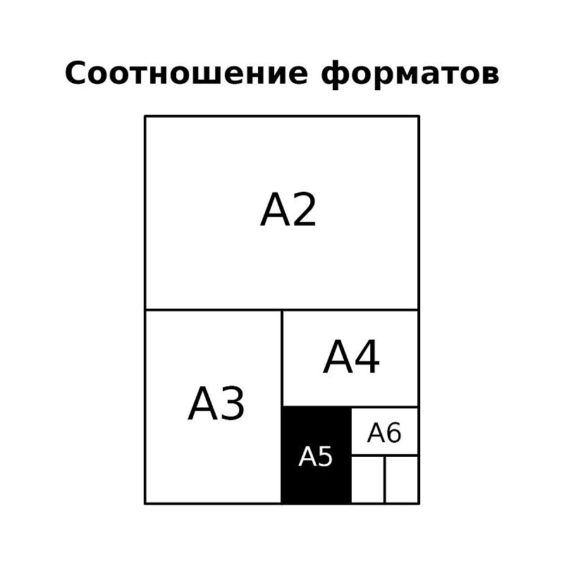 Записная книжка А5 80л. BG "Summer", матовая ламинация, тиснение голографической фольгой, блок в точку