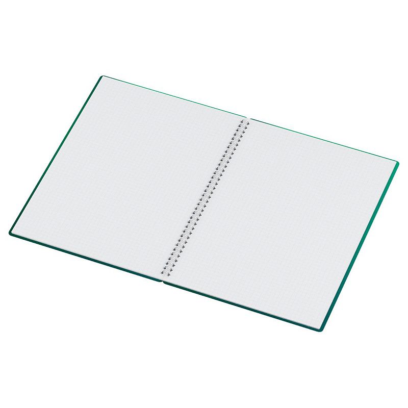 Тетрадь 80л., А4, клетка, на гребне BG "Хамелеон", пластиковая обложка, зеленый