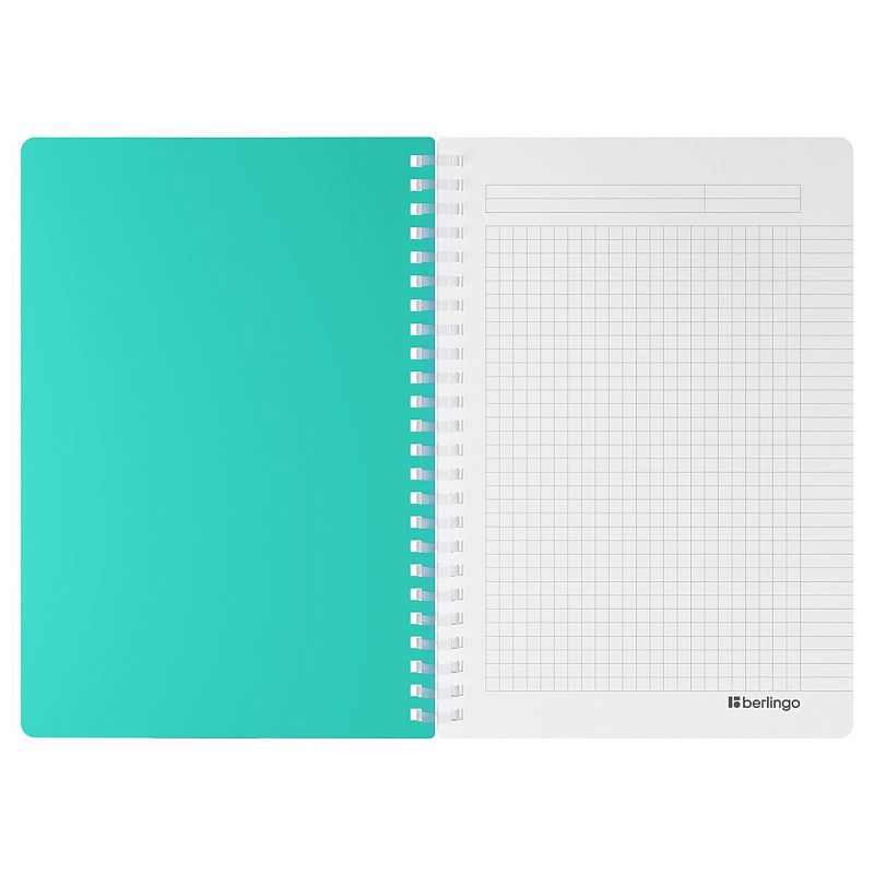 Бизнес-тетрадь A5, 80л., Berlingo "Your Way", клетка, на силиконовом гребне, 80г/м2, пластик обложка 600мкм, мятная