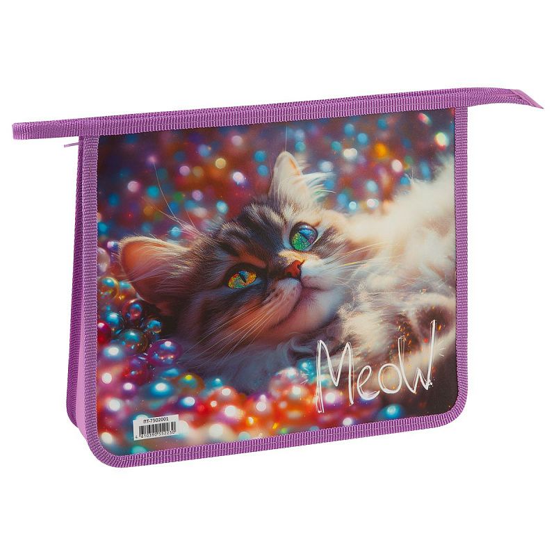 Папка для тетрадей 2 отделения, ArtSpace "Striped Cat", А5, пластик, на молнии