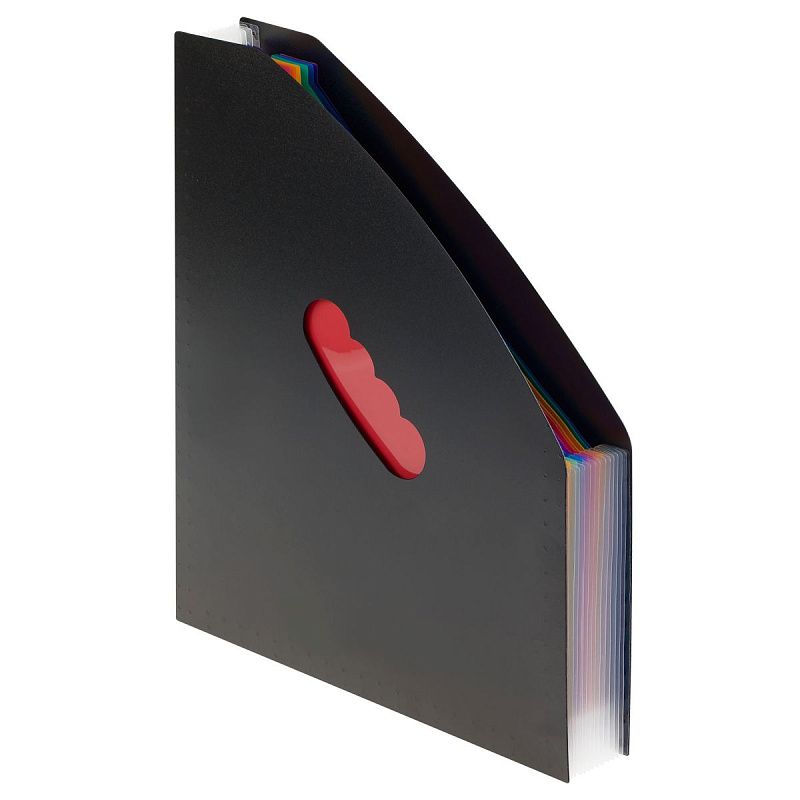 Лоток-органайзер для хранения документов СТАММ А4, 13 отделений,  черный