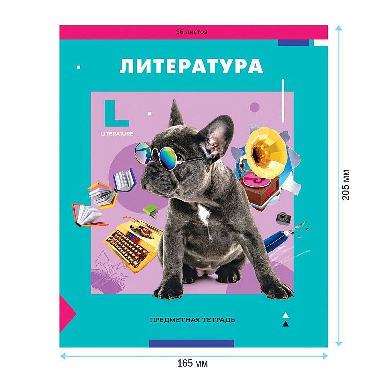 Тетрадь предметная 36л. ArtSpace "Пять в квадрате" - Литература, эконом