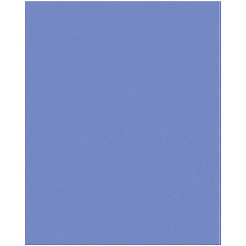 Тетрадь предметная 48л. BG "Перфокарта" - Биология, пластиковая обложка