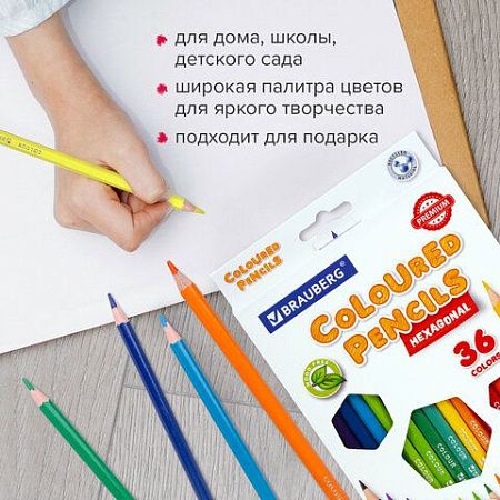 Карандаши цветные BRAUBERG PREMIUM, 36 цветов, пластиковые, шестигранные, грифель мягкий 3 мм, 181669