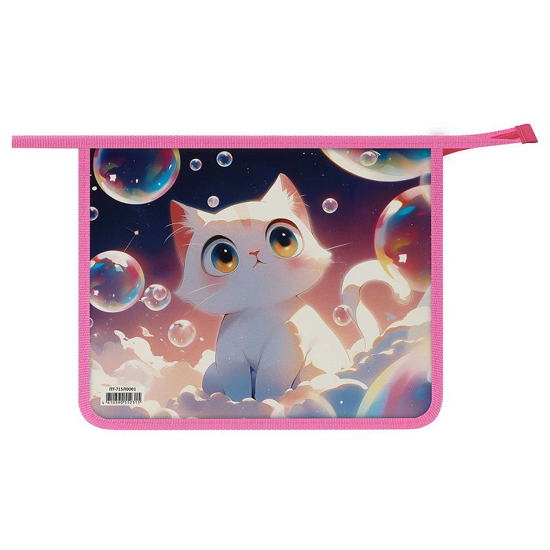 Папка для тетрадей 1 отделение, ArtSpace "Soap bubbles", А5, пластик, на молнии 