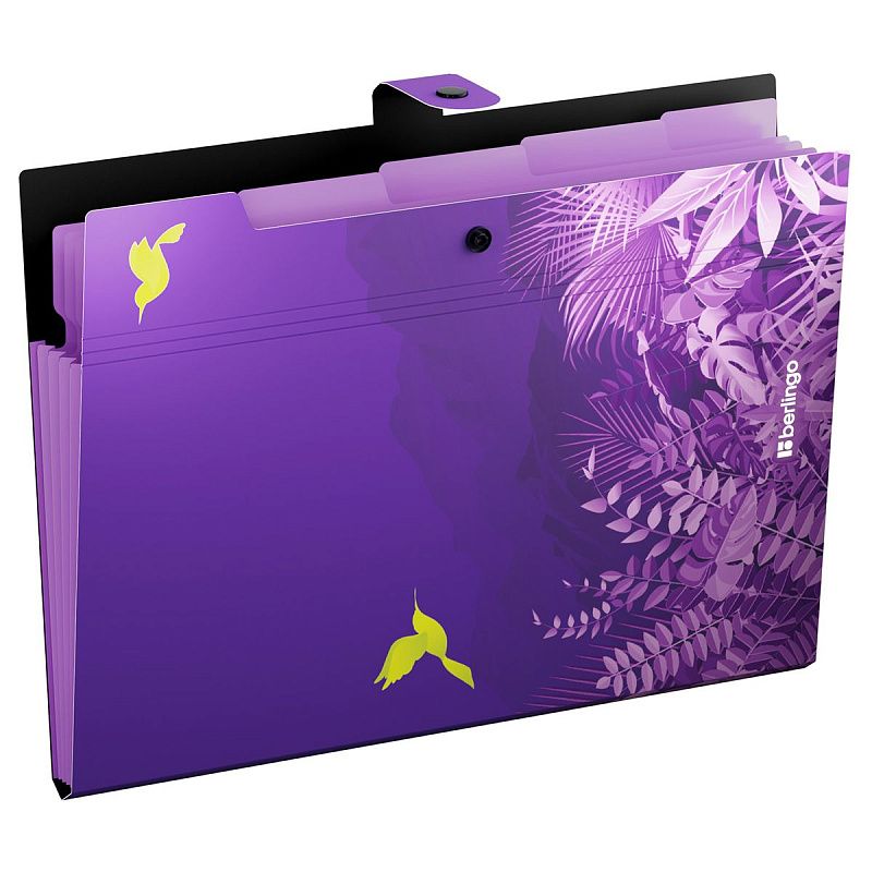 Папка 5 отделений Berlingo "Flower Art", А4, 600мкм, на кнопке, с рисунком 