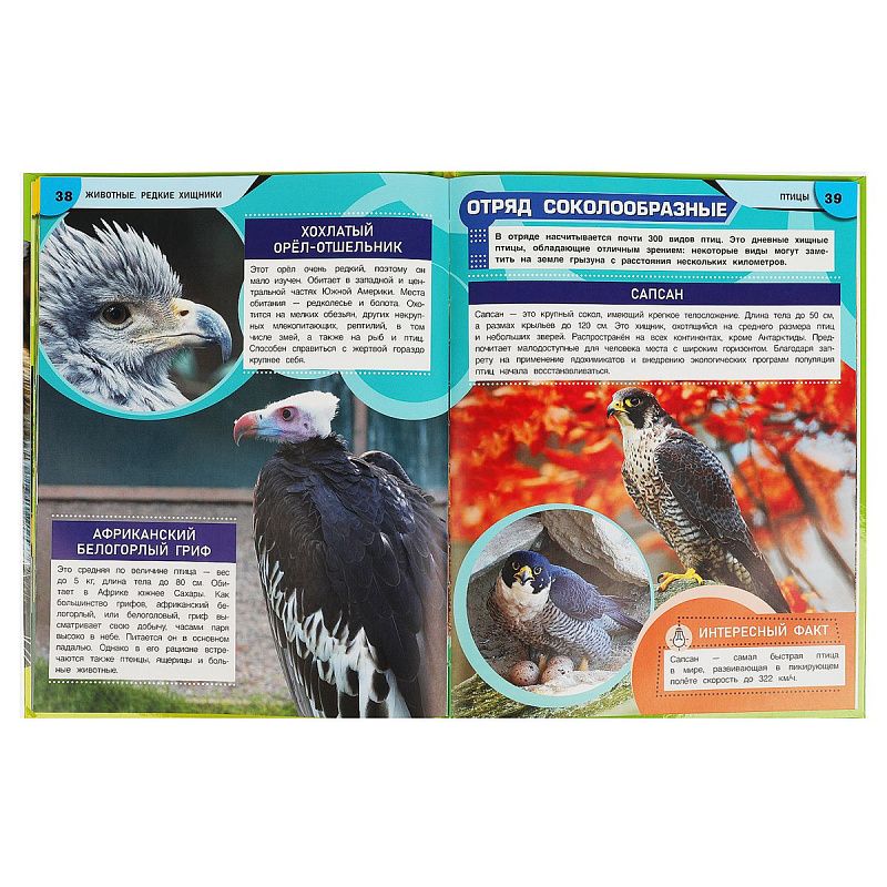 Энциклопедия Умка 197*255, "Животные. Редкие хищники", 48стр.