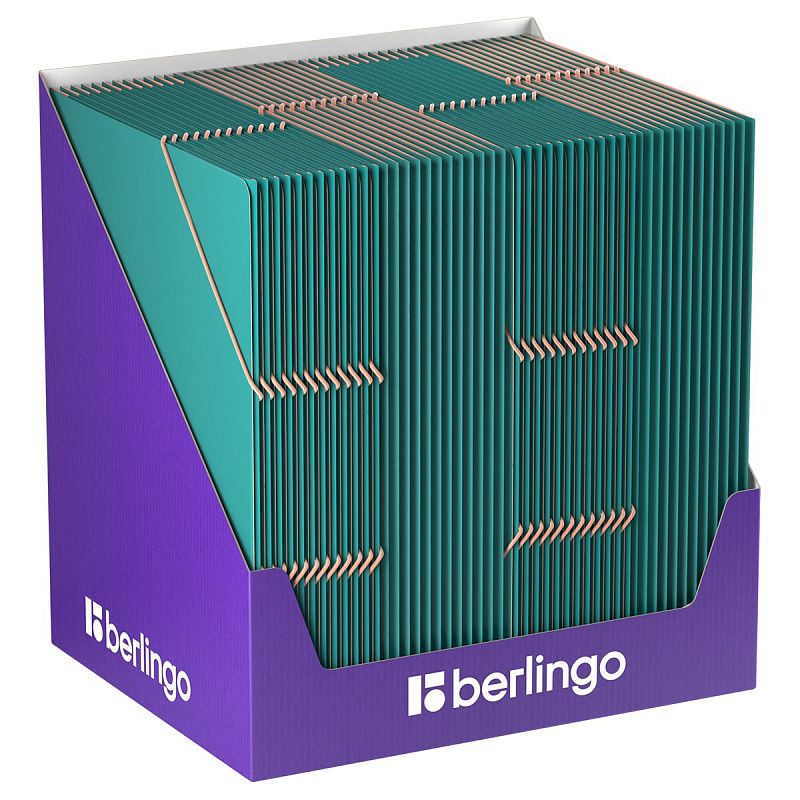 Папка на резинке Berlingo "Soft Touch Pro" А4, пластик, 600мкм, зеленая, внутр. розовая, софт-тач 