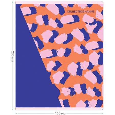 Тетрадь предметная 48л. MESHU "Bright splash" - Обществознание, матовая ламинация, выборочный УФ-лак