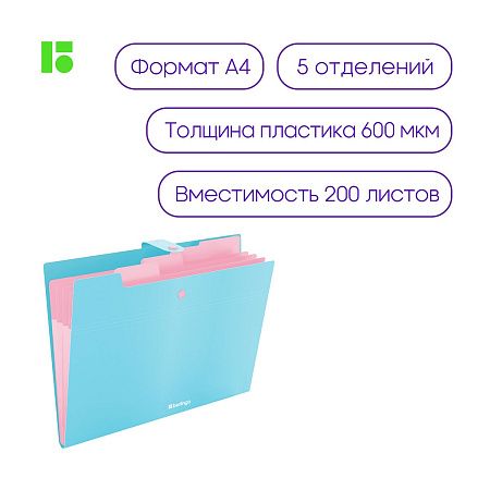 Папка 5 отделений Berlingo "Haze", А4, 600мкм, на кнопке, голубая, софт-тач 