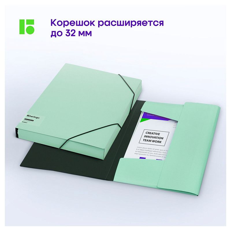 Папка на резинке Berlingo "Instinct" А4, пластик, 600мкм, мятный 