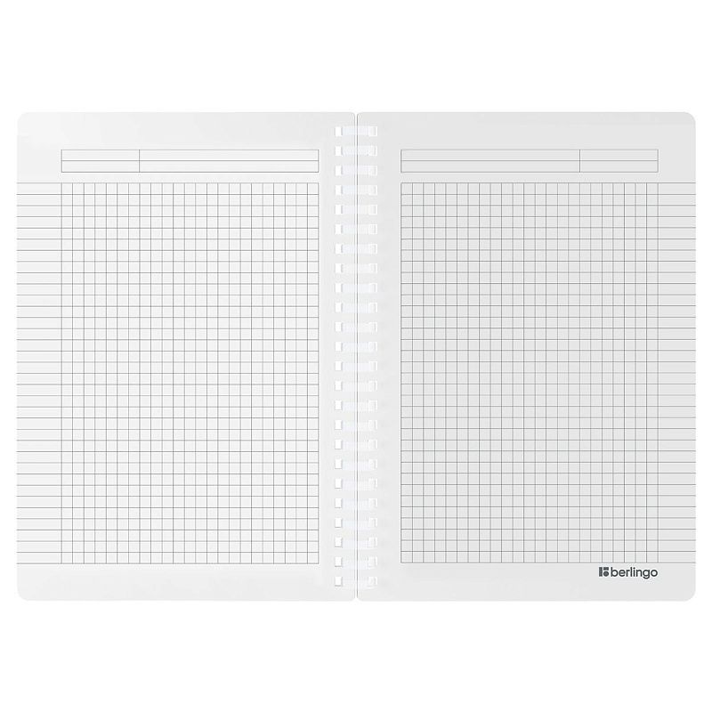 Бизнес-тетрадь A5, 80л., Berlingo "Your Way", клетка, на силиконовом гребне, 80г/м2, пластик обложка 600мкм, мятная