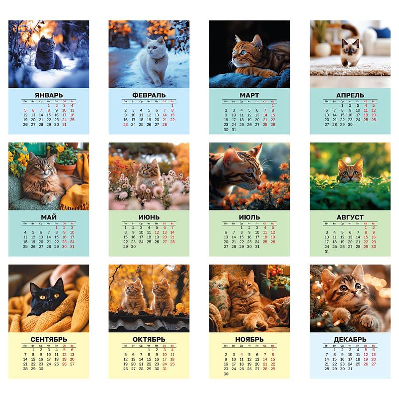 Календарь настенный перекидной на гребне, 340*480 мм 6л. BG "Коты", 2026г.