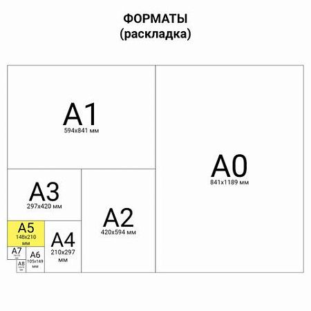 Блокнот А5 (146х205 мм), 60 л., гребень, картон, клетка, ЮНЛАНДИЯ, "Веселое путешествие", 129814