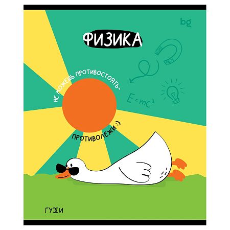 Тетрадь предметная 40л. BG "ГуССи" - Физика, эконом