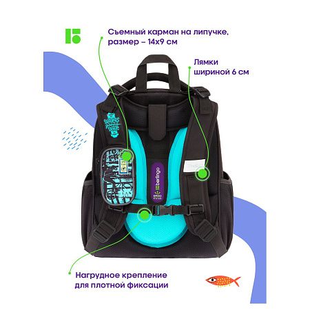 Ранец Berlingo Expert "Skateboarding" 37*28*16см, 2 отделения, 2 кармана, анатомическая спинка 