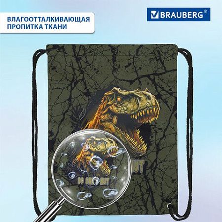 Мешок для обуви BRAUBERG PREMIUM, карман, подкладка, светоотражайка, 43х33 см, Dino attack, 272424 