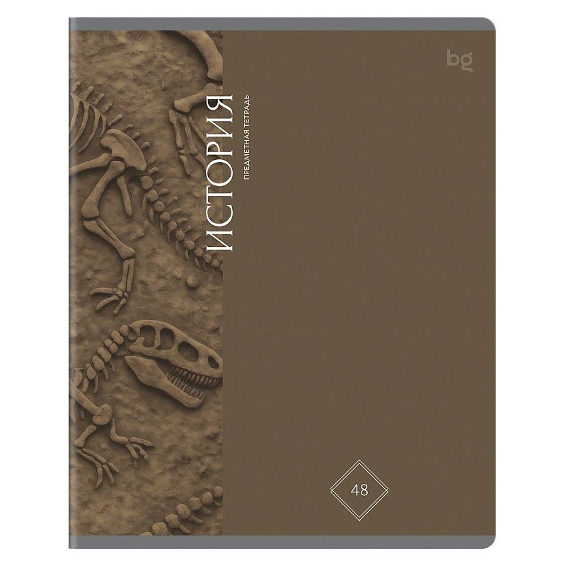 Тетрадь предметная 48л. BG "Гармония знаний" - История, soft-touch ламинация