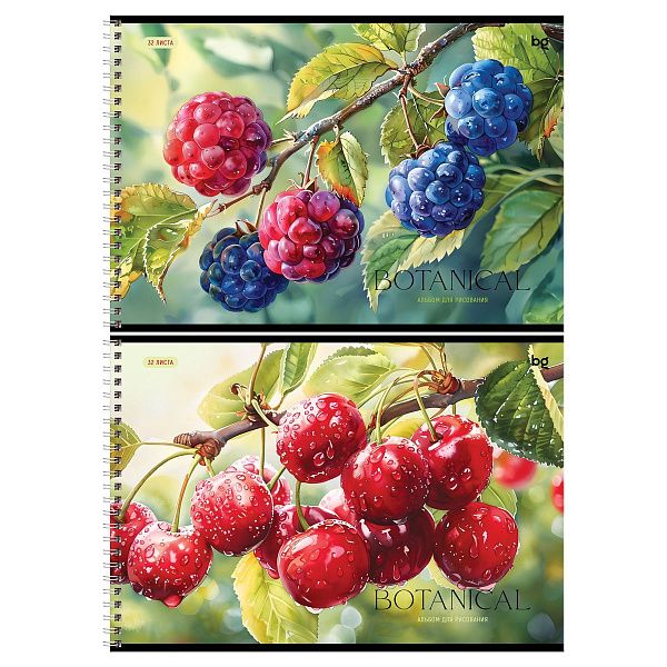 Альбом для рисования 32л., А4, на гребне BG "Botanical"