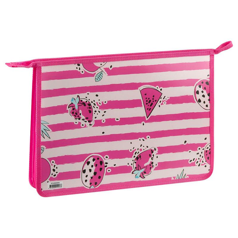 Папка для тетрадей 1 отделение, ArtSpace "Corgi", А4, пластик, на молнии 