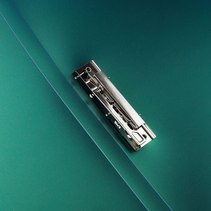 Папка с боковым зажимом СТАММ "Хамелеон" А4, 17мм, 700мкм, пластик, зеленый хамелеон 