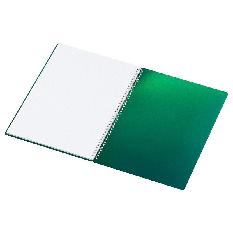 Тетрадь 80л., А4, клетка, на гребне BG "Хамелеон", пластиковая обложка, зеленый
