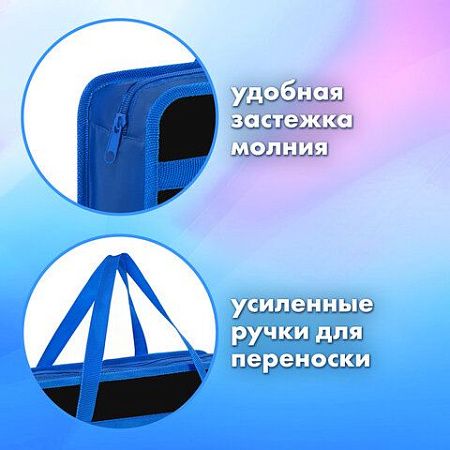 Папка на молнии с ручками BRAUBERG А4, 1 отделение, пластик, 80 мм, "Wild face", 272166 