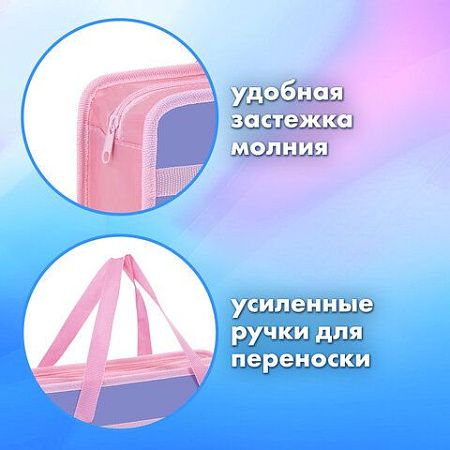 Папка на молнии с ручками BRAUBERG А4, 1 отделение, пластик, 80 мм, "Meow", 272163 