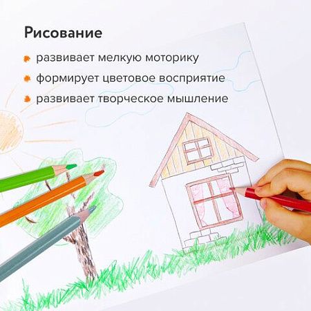 Карандаши цветные BRAUBERG PREMIUM, 12 цветов, трехгранные, грифель мягкий 3,3 мм, 181651