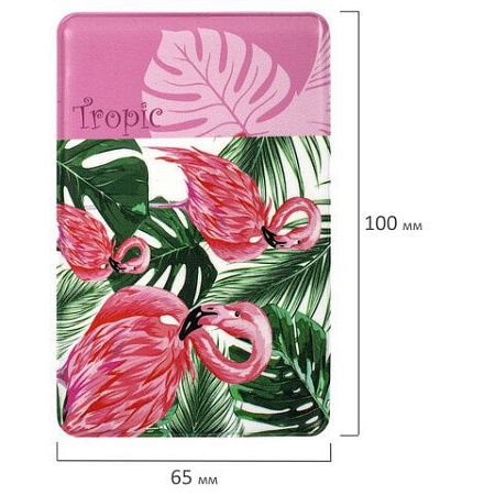 Обложка-карман для проездных документов, карт, пропусков "Tropic", 100х65 мм, ПВХ, фотопечать ассорти, STAFF, 237595 