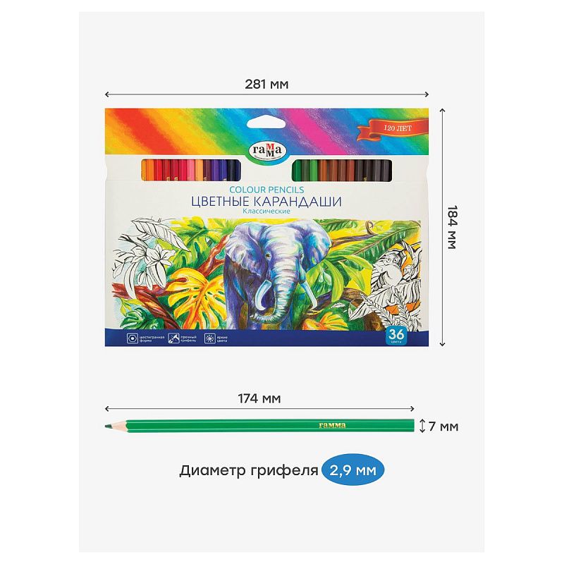Карандаши цветные Гамма "Классические", 36цв., заточен., картон. упаковка, европодвес