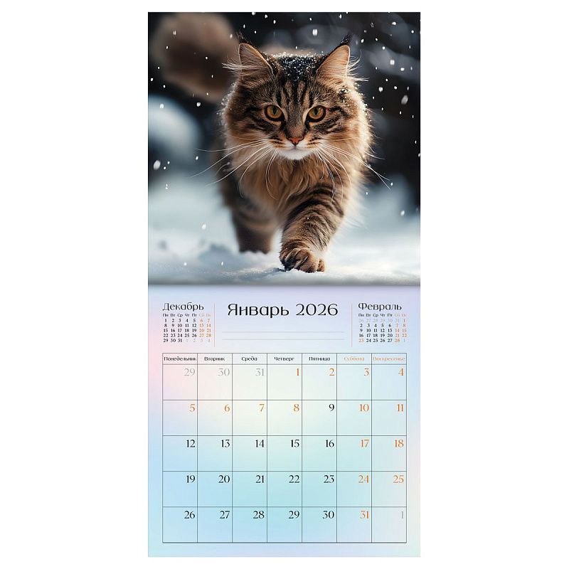 Календарь настенный перекидной на скрепке, 290*290 мм 12л. BG "Коты", 2026г.