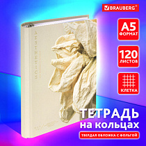 Тетрадь на кольцах А5 175х215 мм, 120 листов, твердый картон, фольга, клетка, BRAUBERG, "Softness", 404722