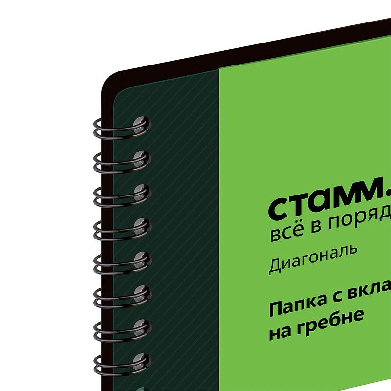 Папка с 30 вкладышами на гребне СТАММ "Диагональ" А4, 17мм, 700мкм, пластик, изумруд 