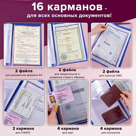 Папка для семейных документов с файлами (паспорта, свидетельства, полисы, СНИЛС) STAFF, 16 отделений, ПВХ, синяя, 237806 
