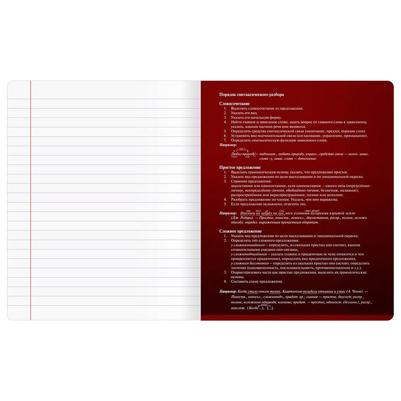 Тетрадь предметная 48л. BG "Темное стекло" - Русский язык, конгрев, твин-лак, 70г/м2