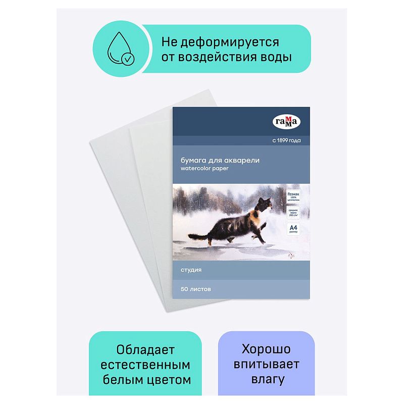 Папка для акварели, 50л., А4, Гамма "Студия", 200г/м2, среднее зерно