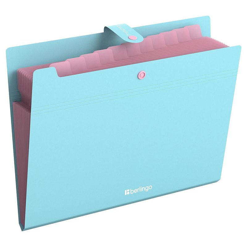 Папка 12 отделений Berlingo "Haze", А4, 600мкм, на кнопке, голубая