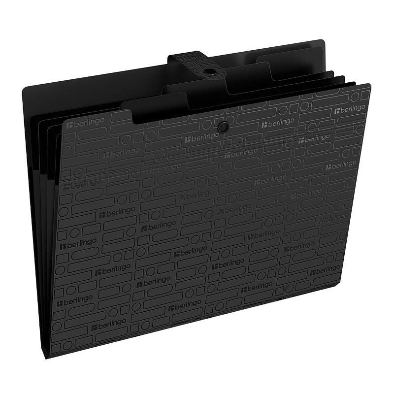 Папка 5 отделений Berlingo "Your Way", А4, 600мкм, на кнопке, черная 