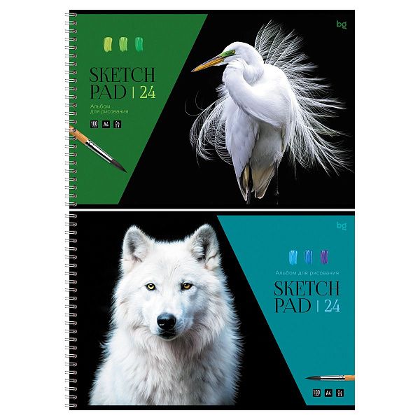 Альбом для рисования 24л., А4, на гребне BG "Белый в природе"