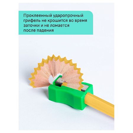 Карандаши цветные Гамма "Хобби. Портрет", 12цв., заточен., ПВХ, европодвес