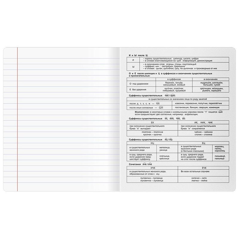 Тетрадь предметная 48л. BG "Печать времени" - Русский язык, тиснение