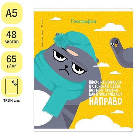 Тетрадь предметная 48л. ArtSpace "Котоцинизм" - География, ТВИН-лак
