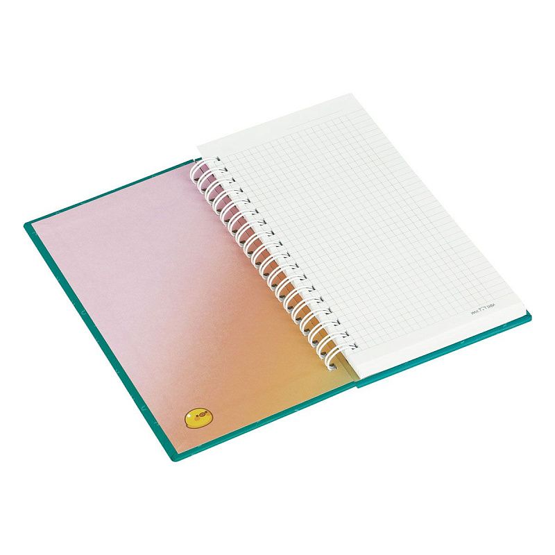 Записная книжка 95*175 мм 96л. на гребне MESHU "My cute day", матовая ламинация, твердая обложка, выборочный УФ-лак