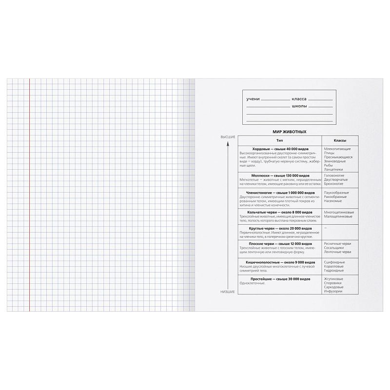 Тетрадь предметная 48л. BG "Single colour" - Биология, эконом