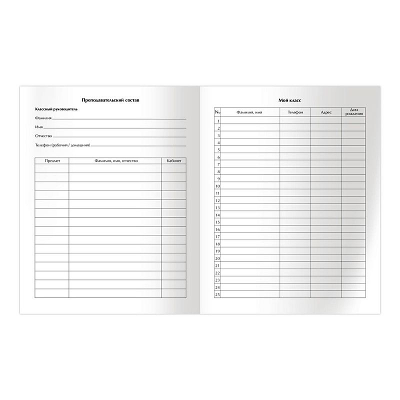 Дневник 1-11 кл. 48л. ЛАЙТ BG "Без цензуры", матовая ламинация, выб. лак