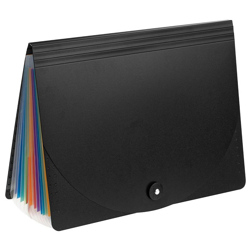 Папка-органайзер для хранения документов СТАММ А4, 13 отделений,  черный 