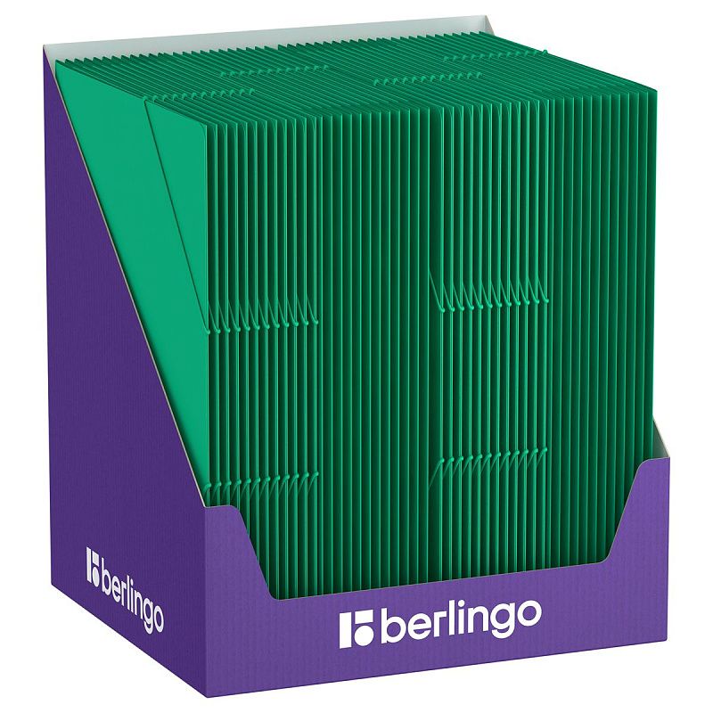 Папка на резинке Berlingo "Soft Touch" А4, 600мкм, зеленая 