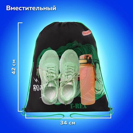 Мешок для обуви ПИФАГОР, 1 отделение, 40х32 см, Dino roar, 272387 
