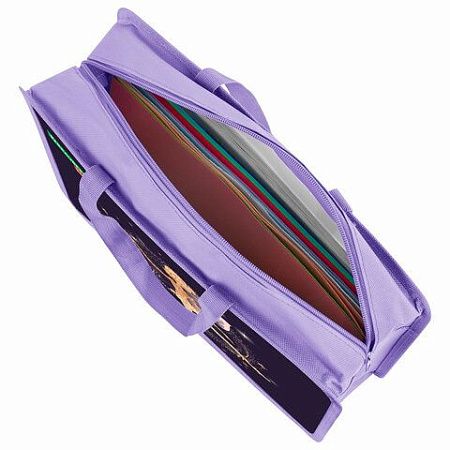 Папка на молнии с ручками BRAUBERG KIDS А4, 1 отделение, пластик, 100 мм, "Gold fairy", 272117 